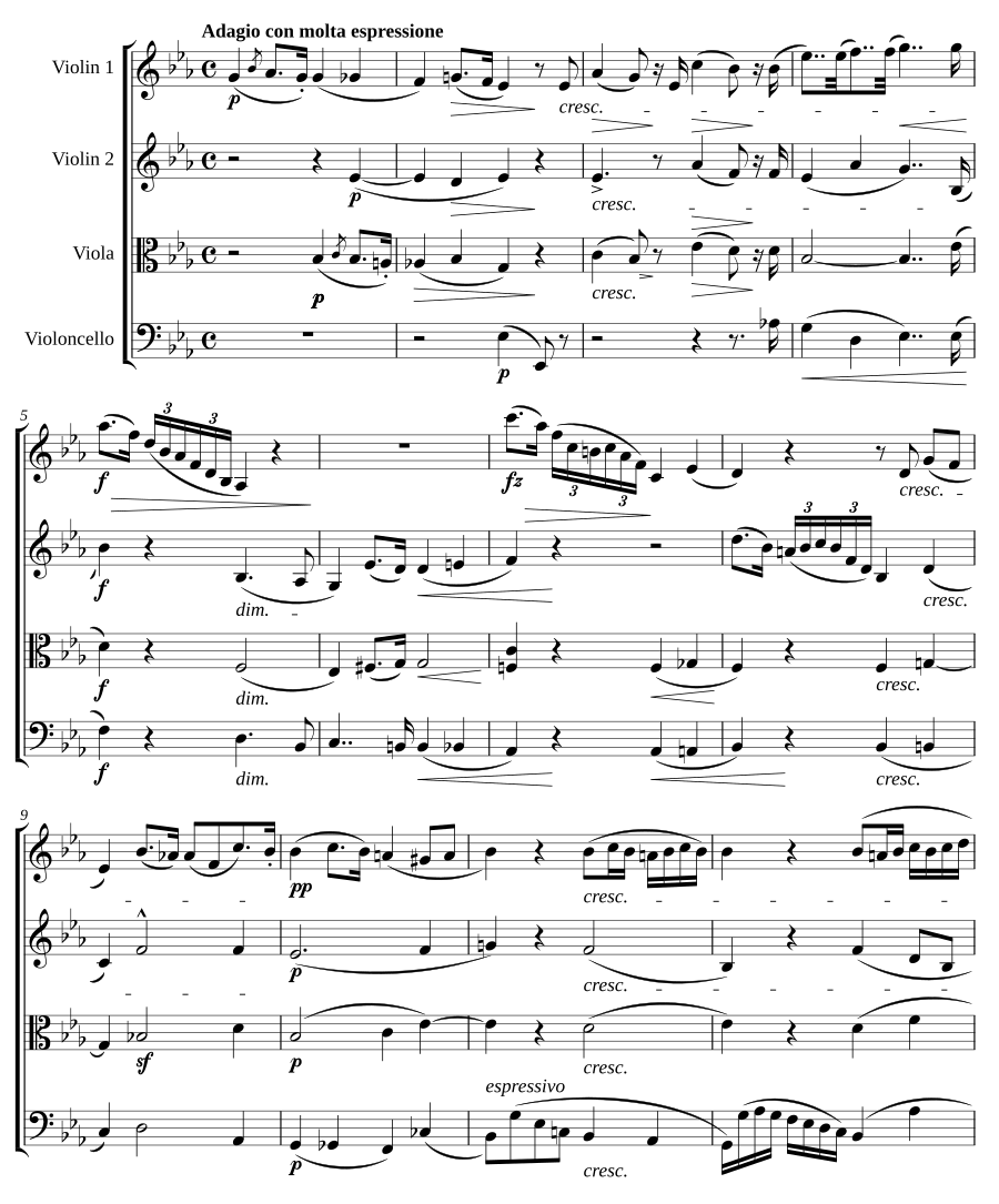Струнный квартет соль минор, соч. 14 (String Quartet in G minor, Op.14) [3]