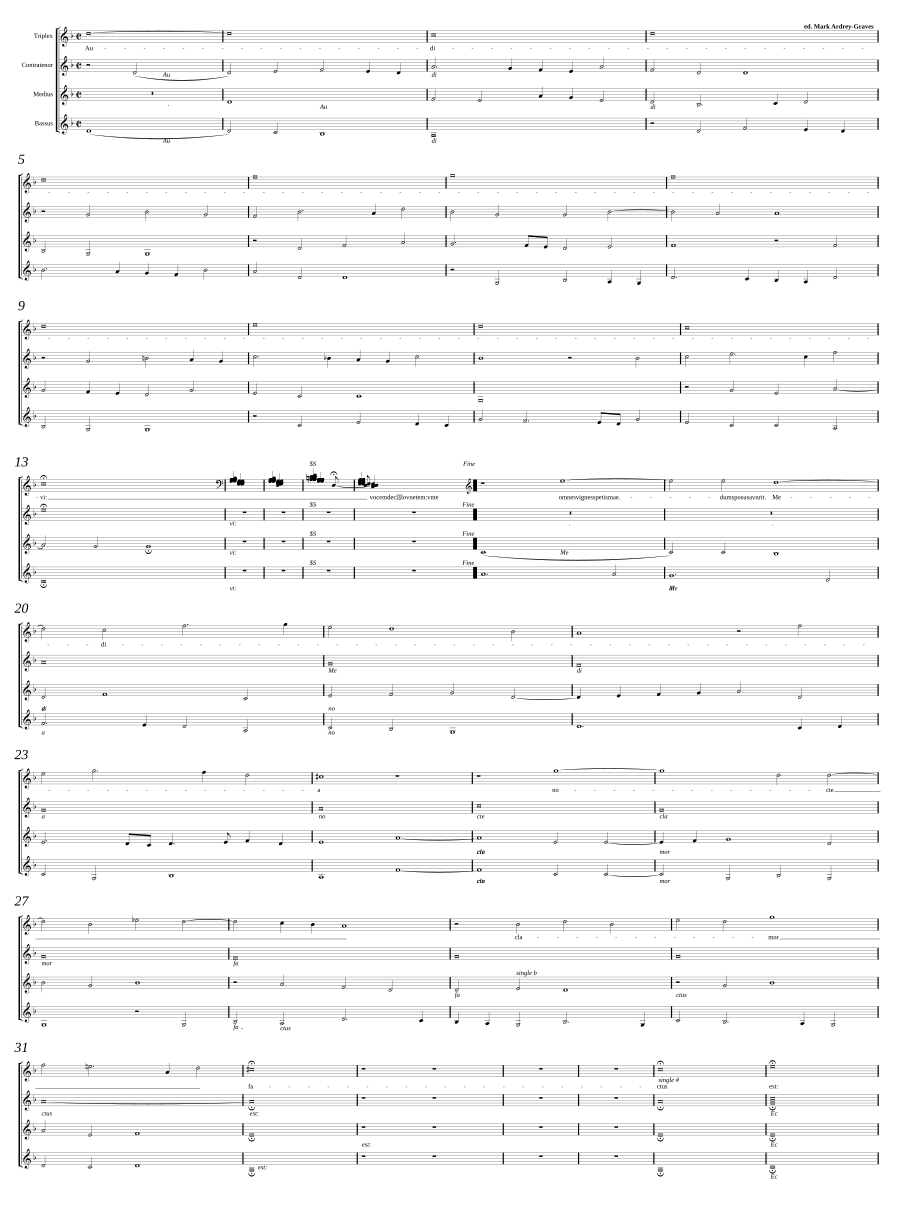 Audivi: Media nocte