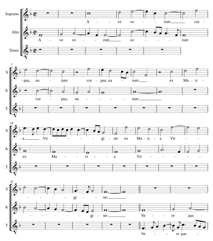 Ave verum a 3