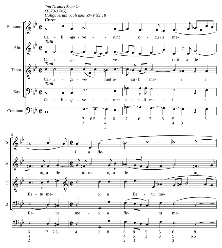 Caligaverunt oculi mei, ZWV 55:18