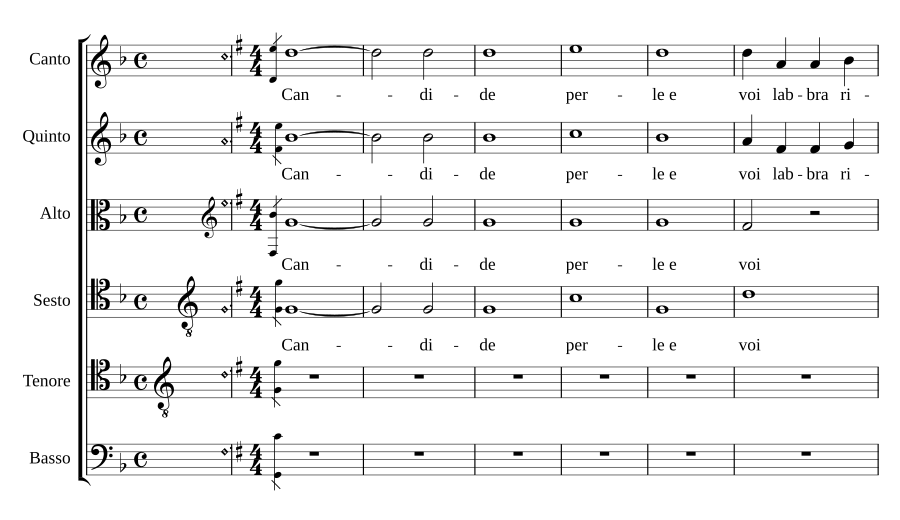 Candide perle