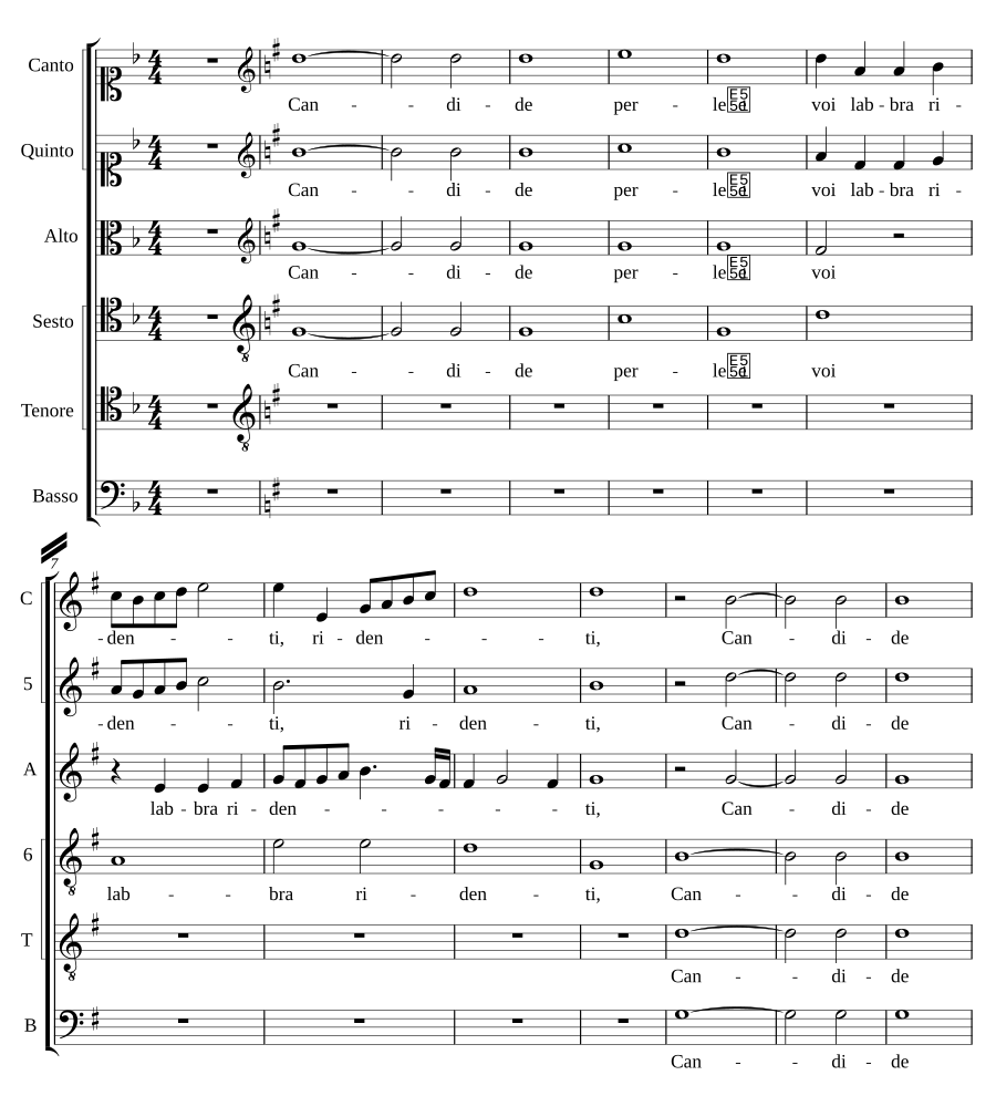 Candide perle