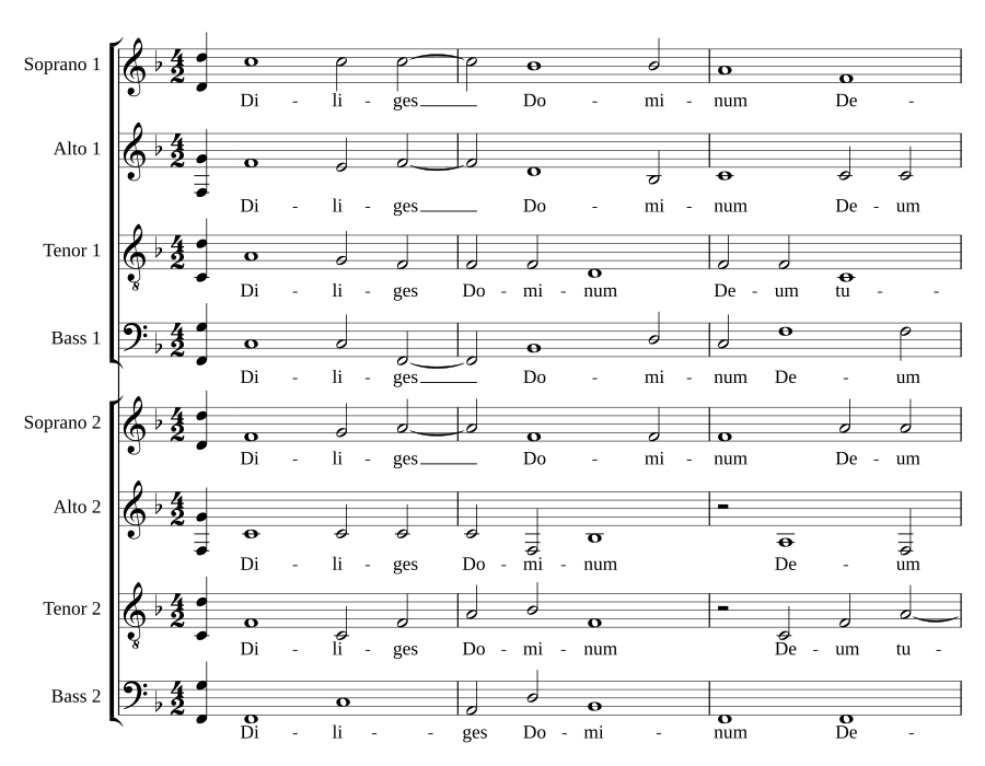 Diliges Dominum
