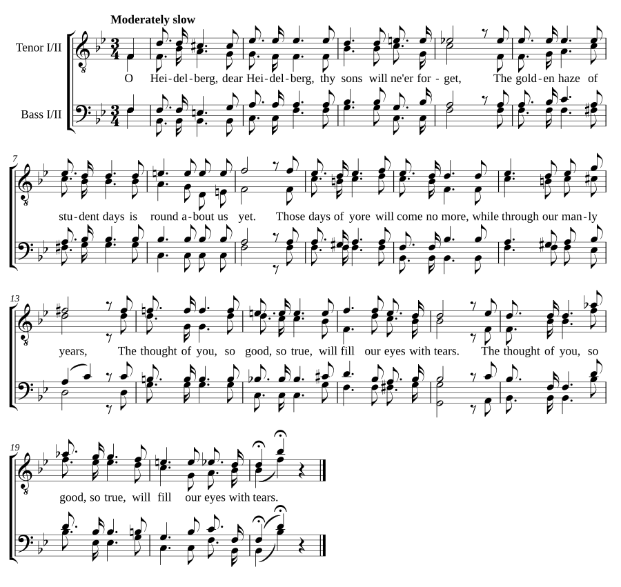 Heidelberg Stein Song