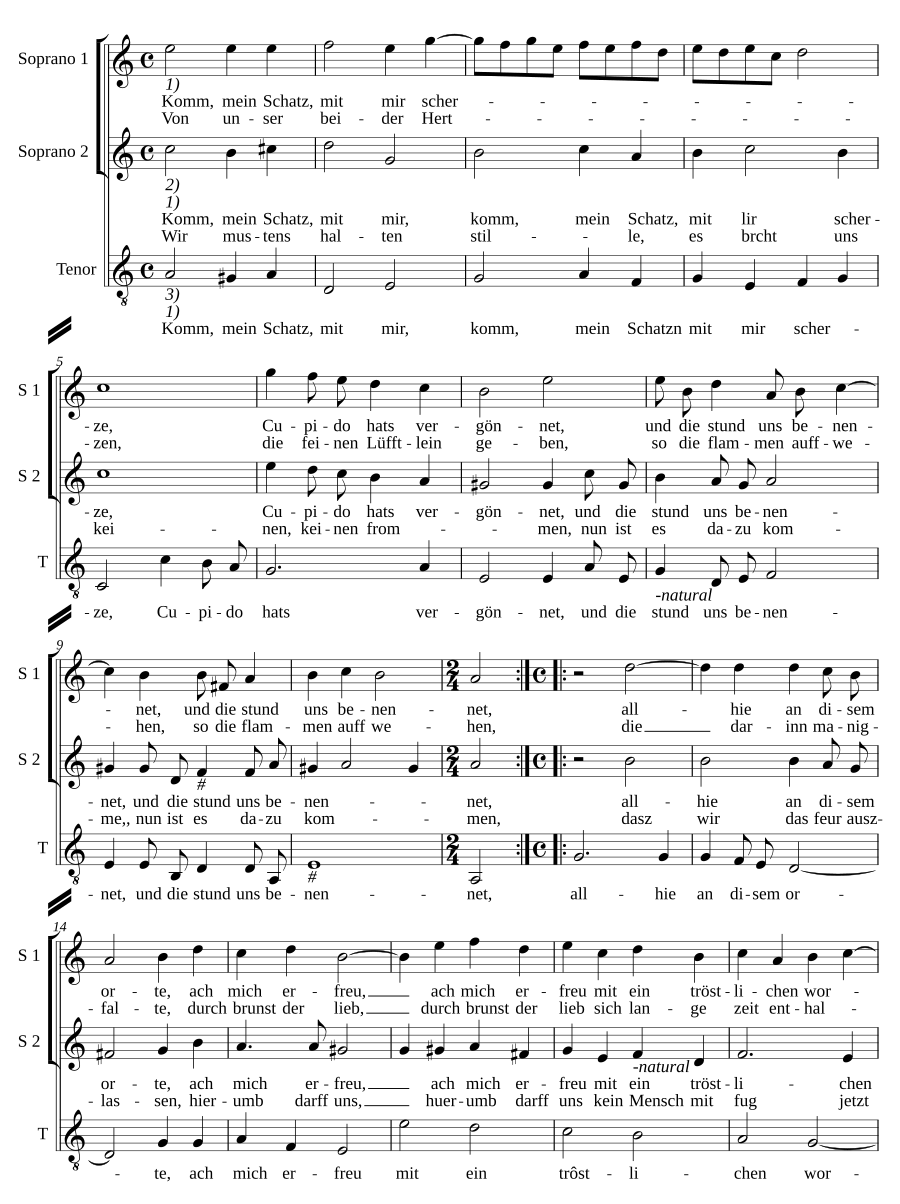 Komm, mein Schatz