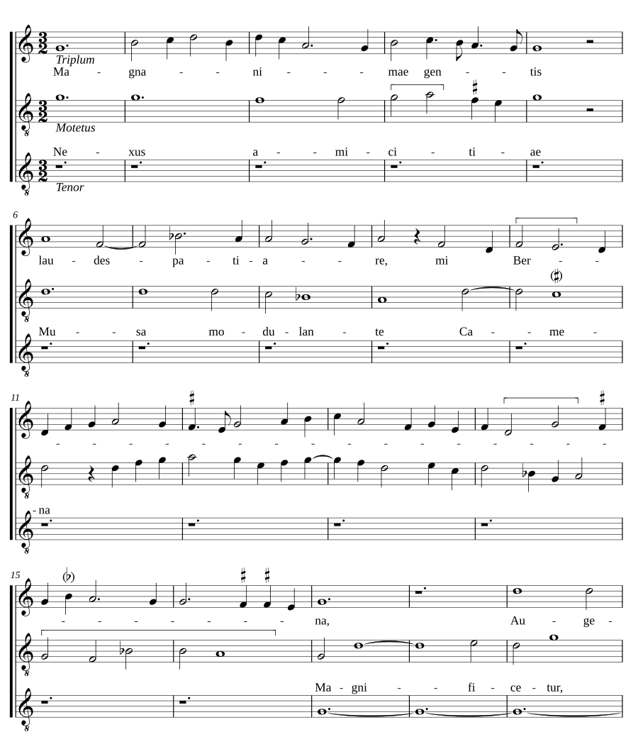 Magnanimae gentis laudes patiare, mi Berna - Nexus amicie Musa modulante Camena