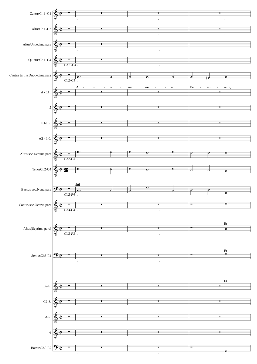 Magnificat a 12