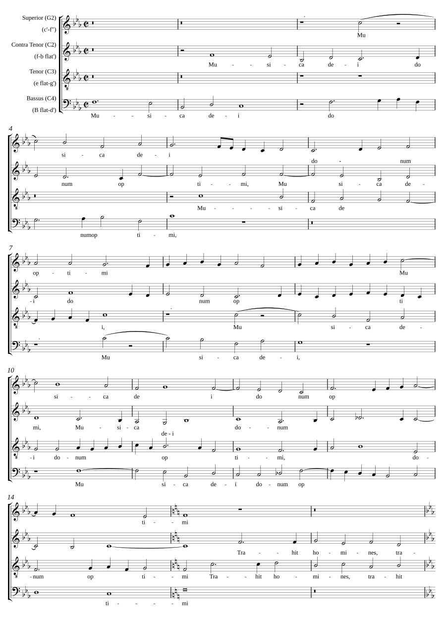 Musica, dei donum optimi