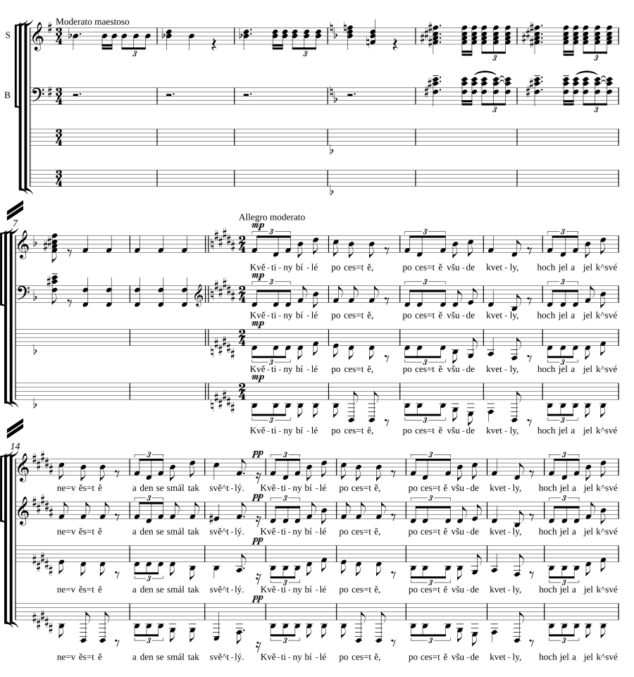 Rusalka - Květiny bílé po cestě