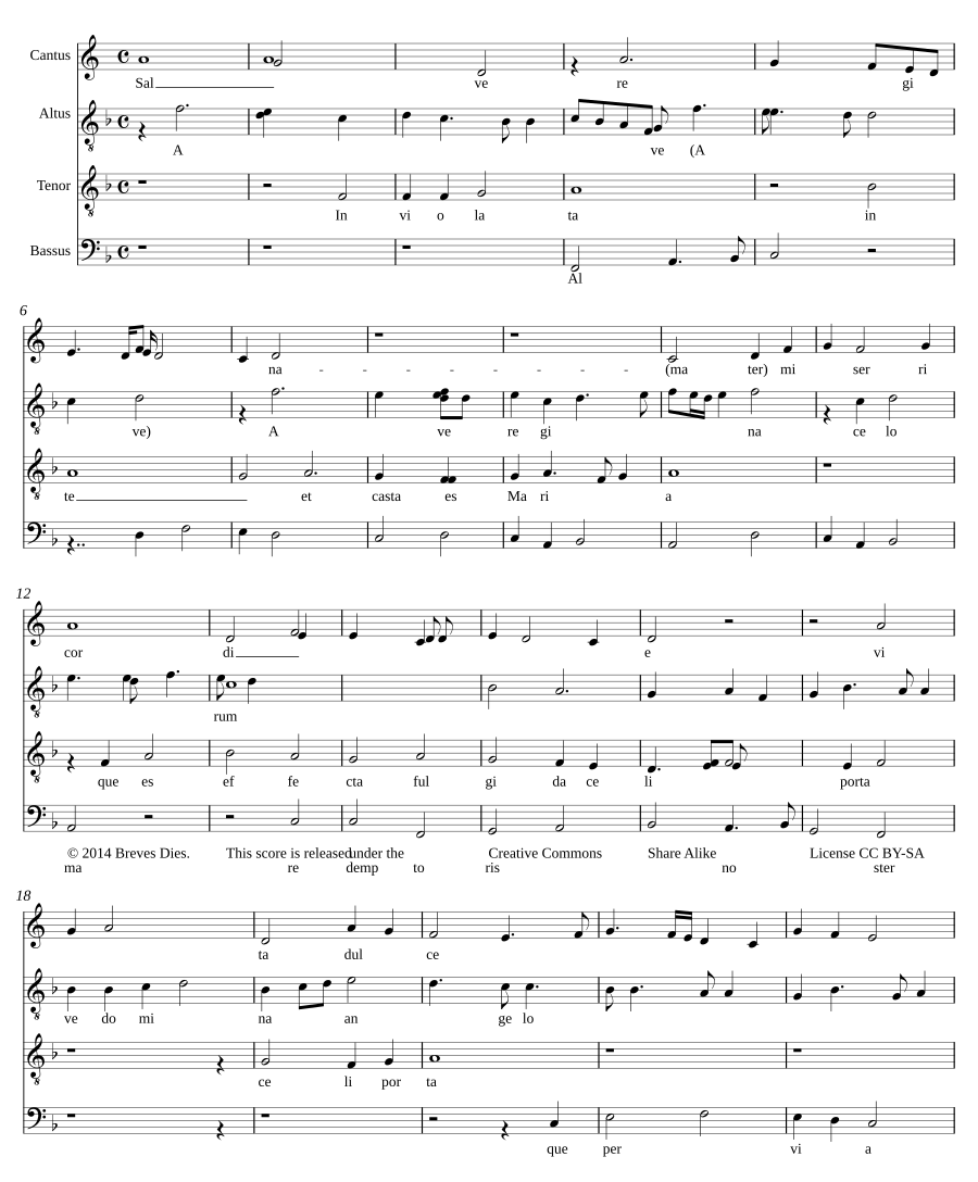 Salve Regina diversa diversi orant