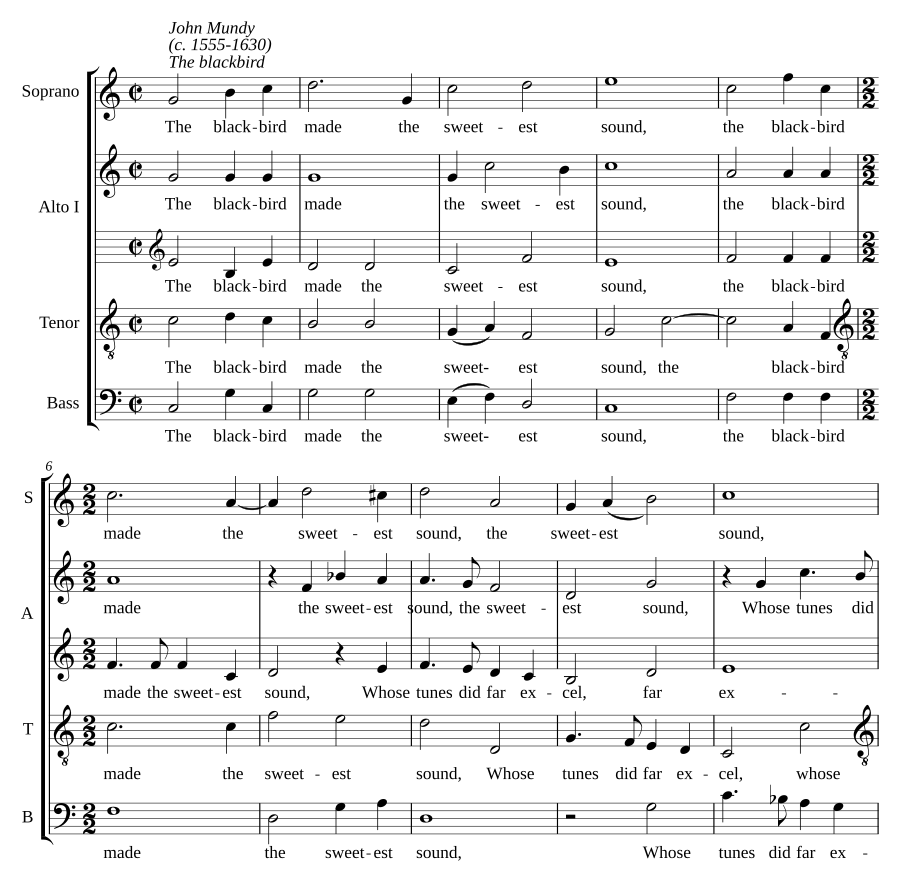The blackbird