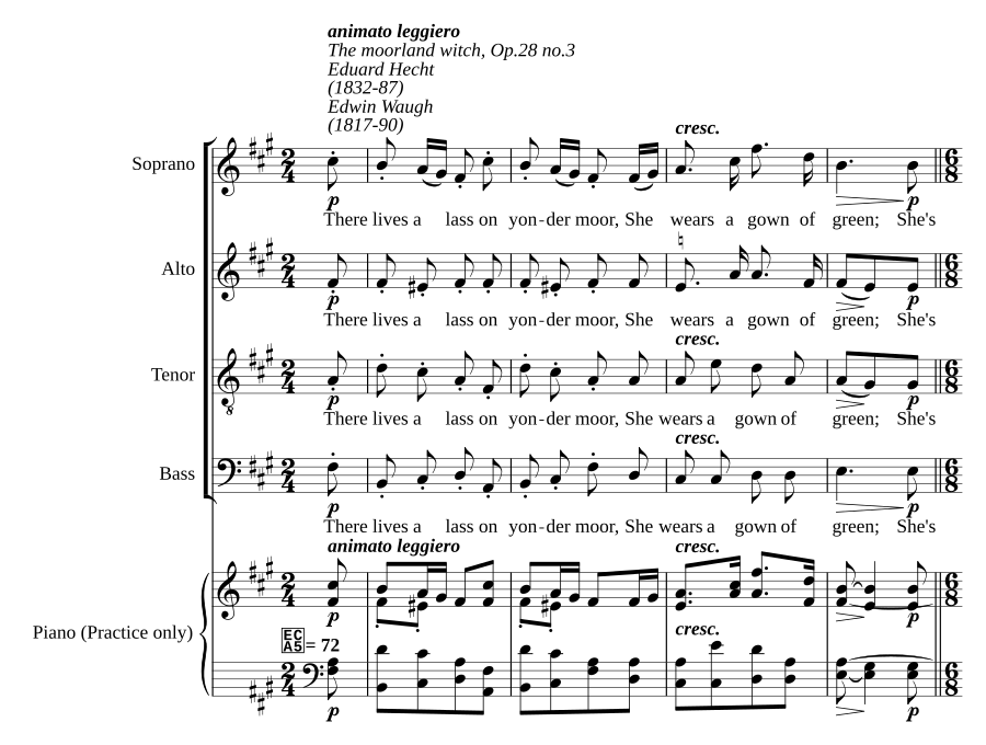 The moorland witch, Op.28 no.3