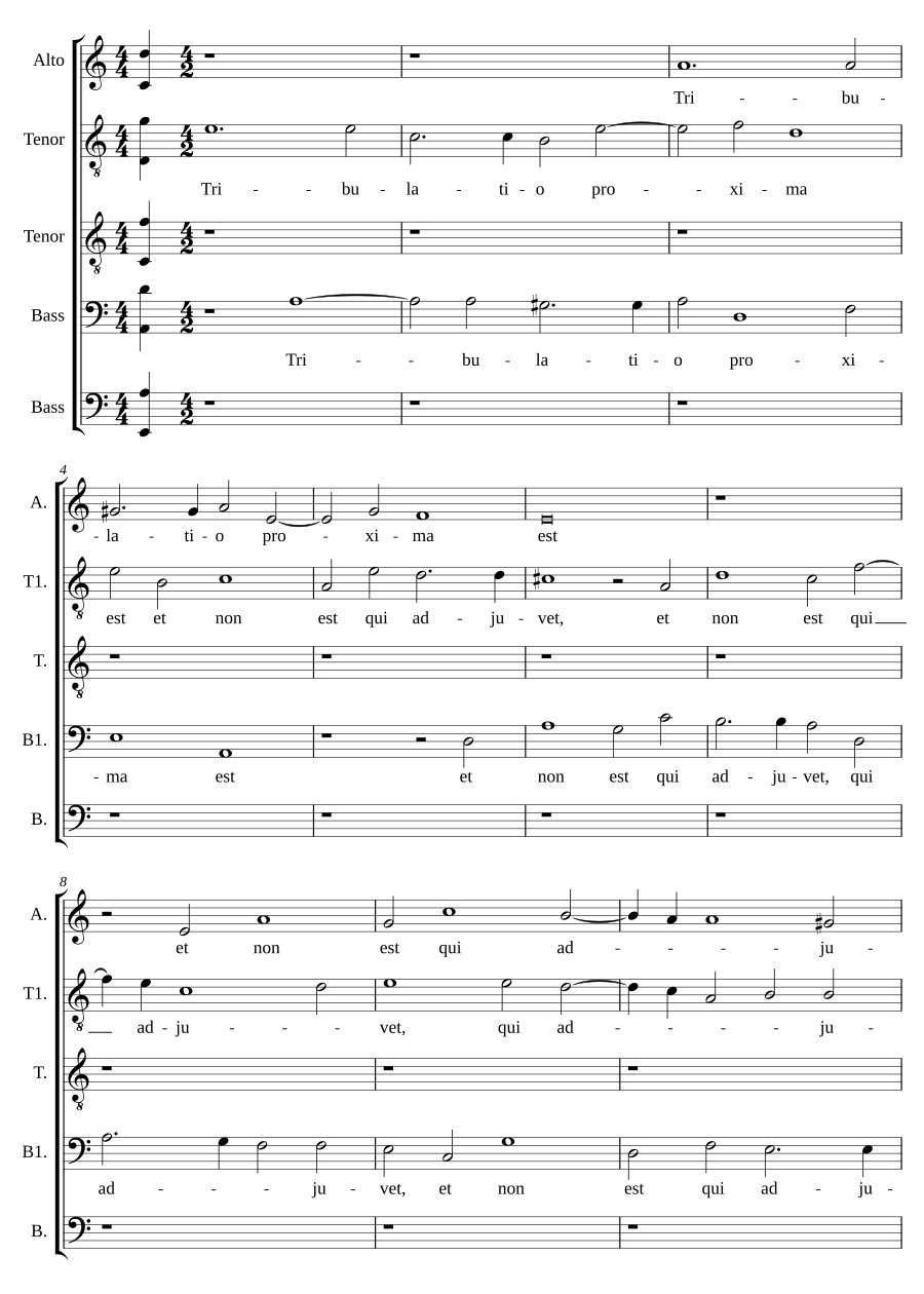 Tribulatio proxima est - Contumelias et terrores