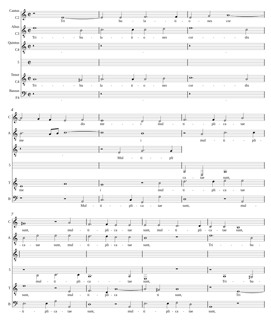 Tribulationes cordis mei a 5
