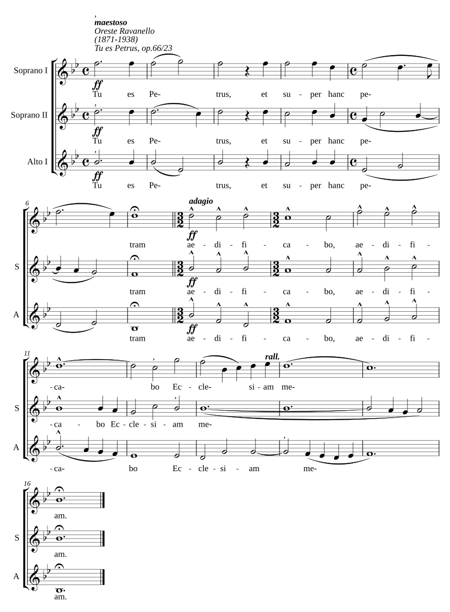 Tu es Petrus, op. 66/23