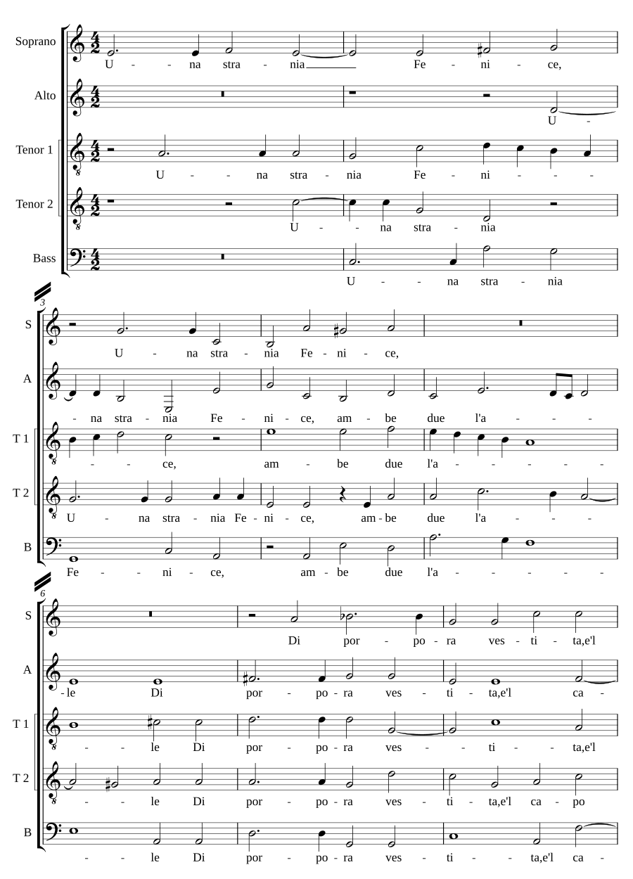 Una strania fenice