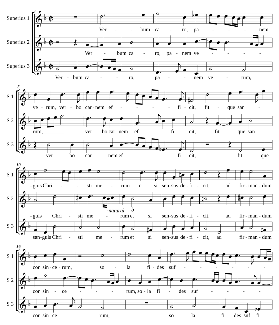 Verbum caro
