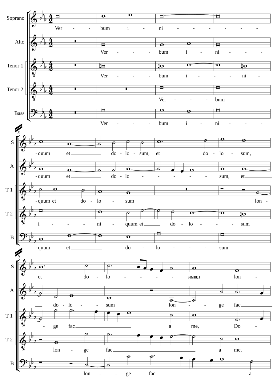 Verbum iniquum et dolosum