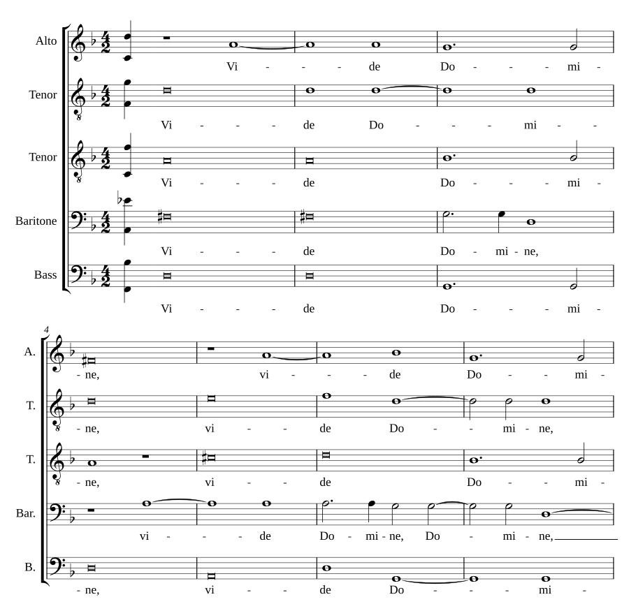 Vide Domine afflictionem - Sed veni Domine
