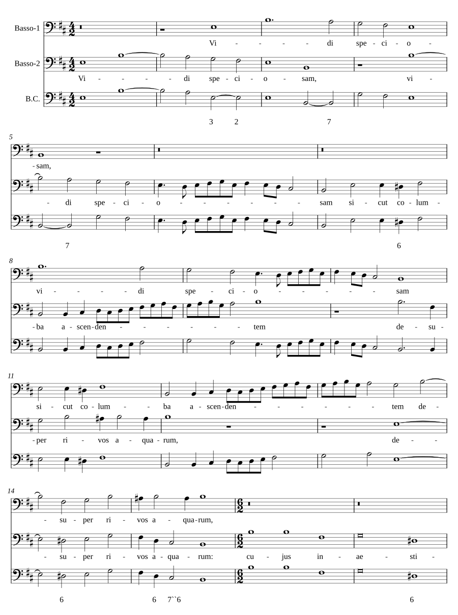 Vidi speciosam