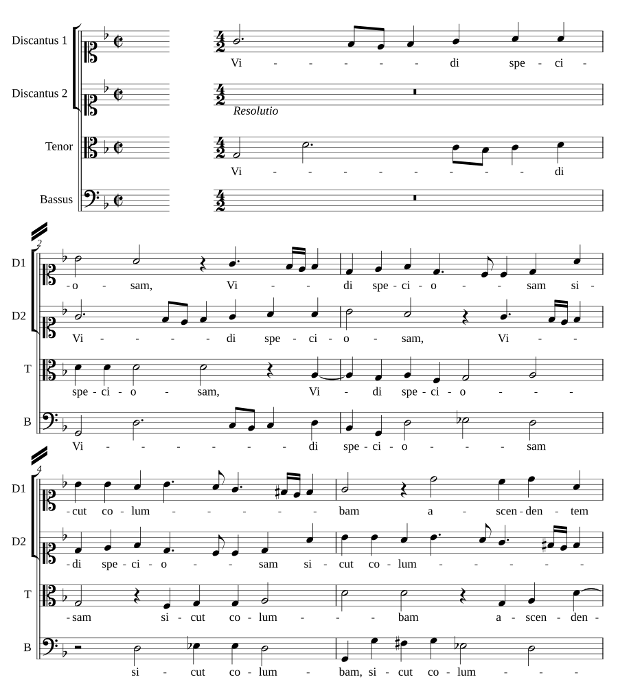 Vidi speciosam