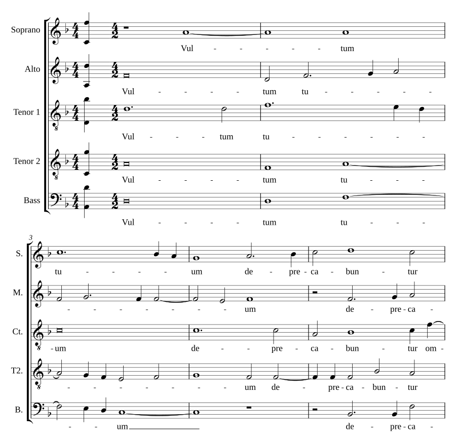 Vultum tuum