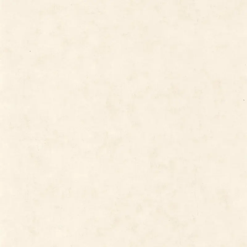 Обои 101480010 Caselio Beton / Beton 2