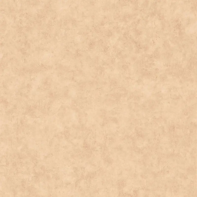 Обои 101482446 Caselio Beton 2