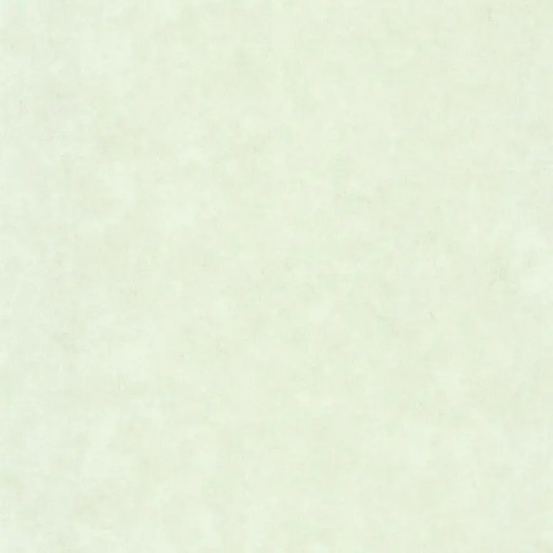 Обои 101487042 Caselio Beton 2