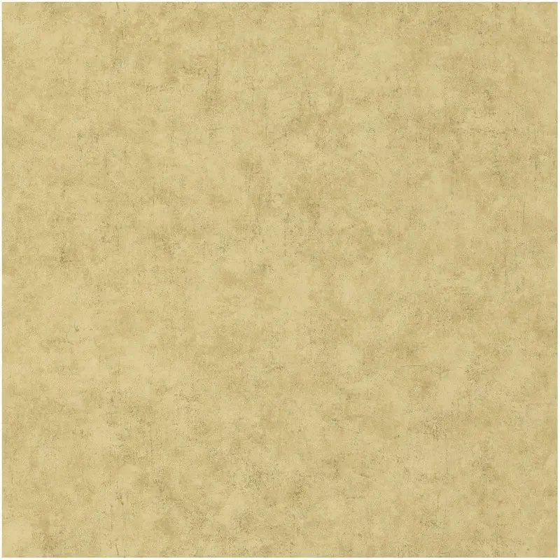 Обои 101487893 Caselio Beton