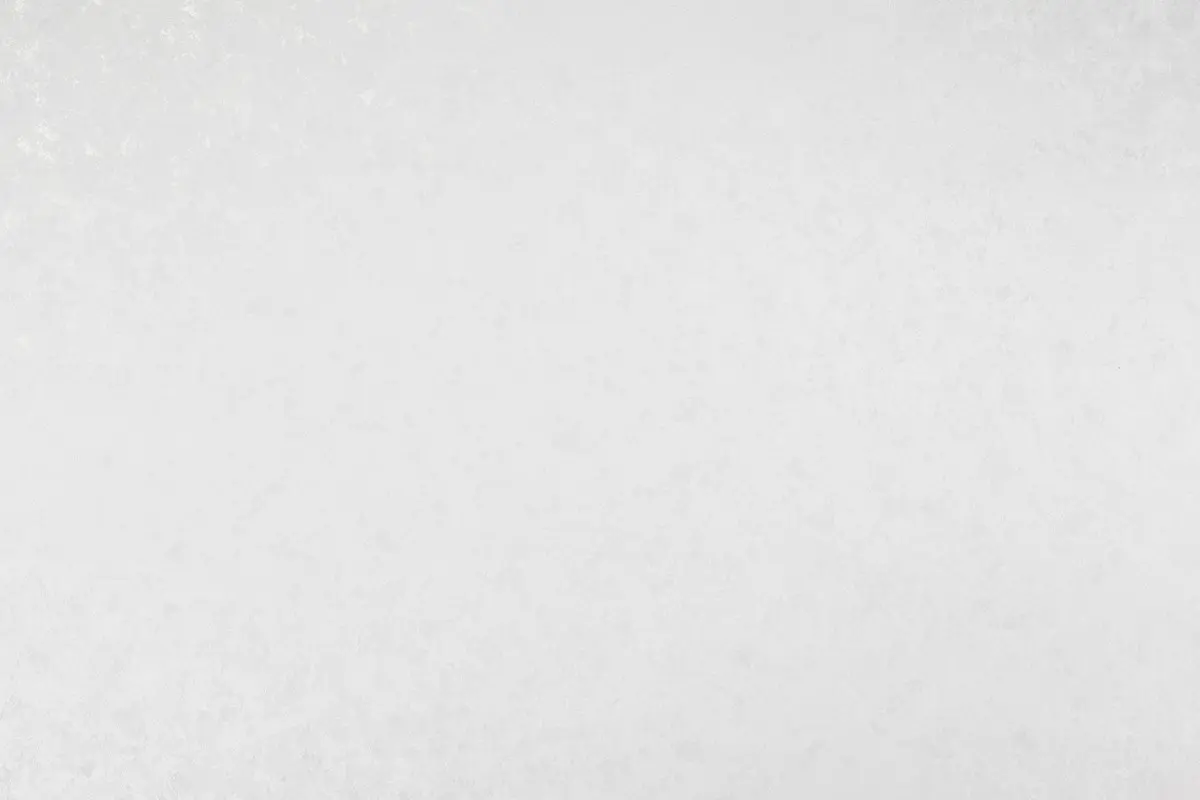 Обои 10363-01 Артекс Шарлотта