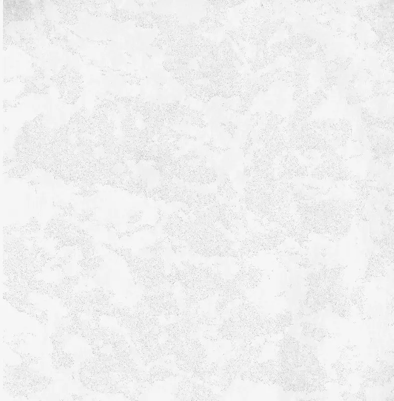 Обои 15046 Roberto Cavalli Home 4