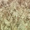 Обои 21051 Emiliana Parati Roberto Cavalli 9 — фото 3