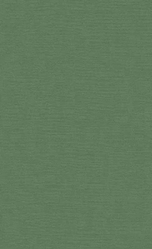 Обои 219505 BN International Atelier
