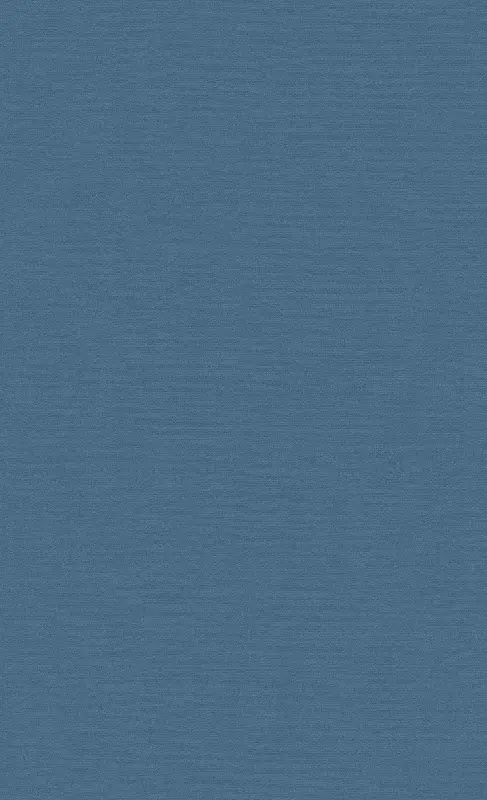 Обои 219513 BN International Atelier