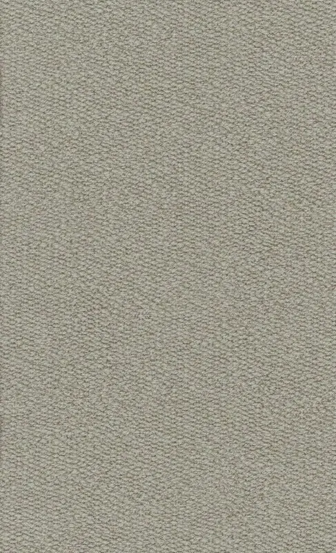Обои 219944 BN International Rivera Maison 2