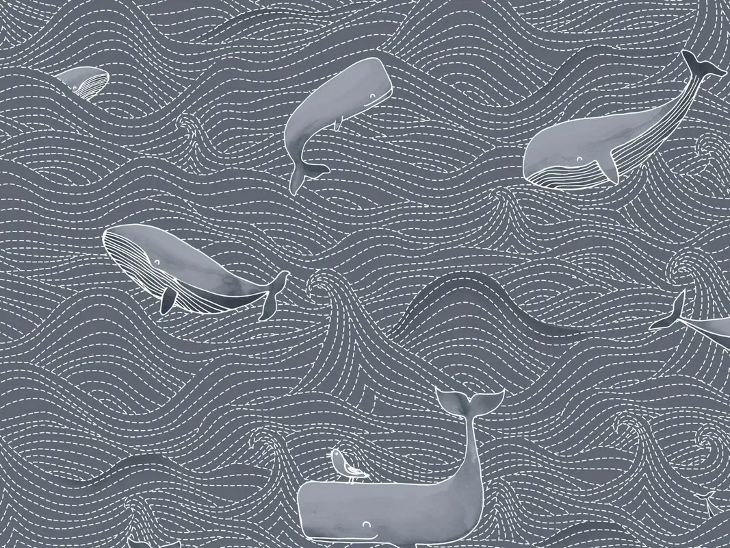 Обои 220733 BN International Doodleedo
