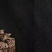 Обои 30003DG Emiliana Parati Dolce&Gabbana — фото 1