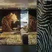 Обои 30020DG Emiliana Parati Dolce&Gabbana — фото 3