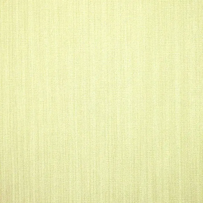 Обои 3030-6 Erismann ru Shiny