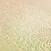 Обои 30689-6 AS Creation Mia+Paul — фото 1
