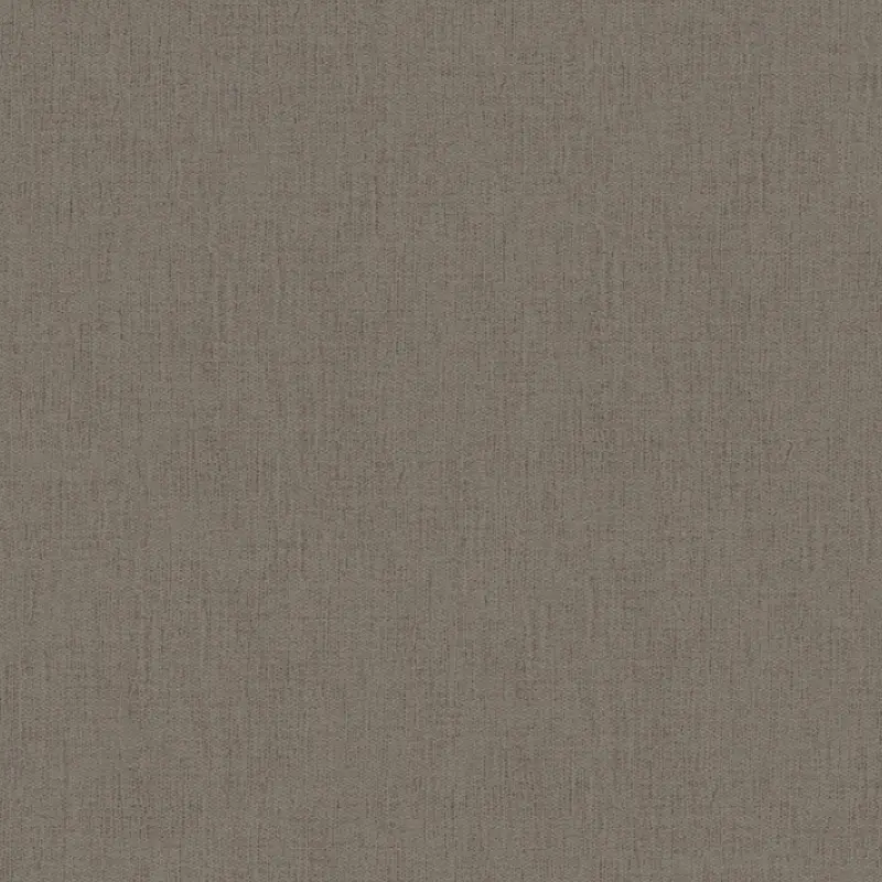 Обои 32719-1 AS Creation Borneo