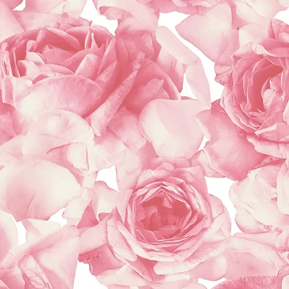 Обои 357001 OVK Design Roses