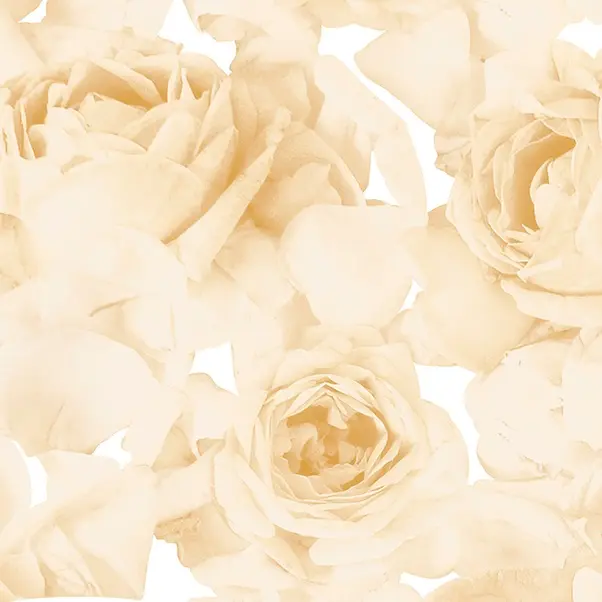 Обои 357003 OVK Design Roses