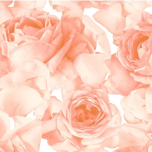 Обои 357005 OVK Design Roses