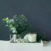 Обои 39097-9 AS Creation Mia+Paul — фото 3