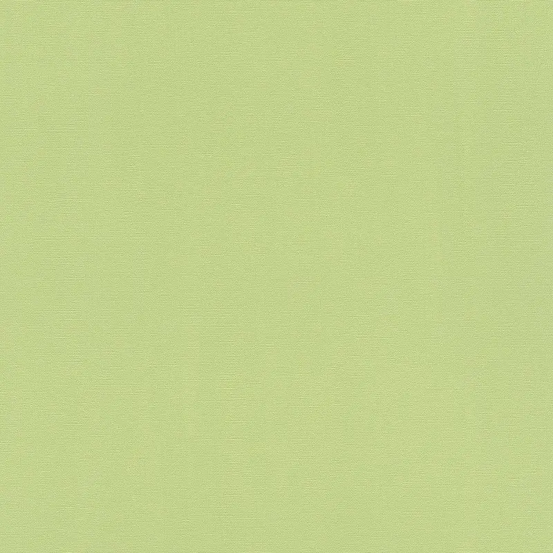Обои 411829 Rasch Hyde Park