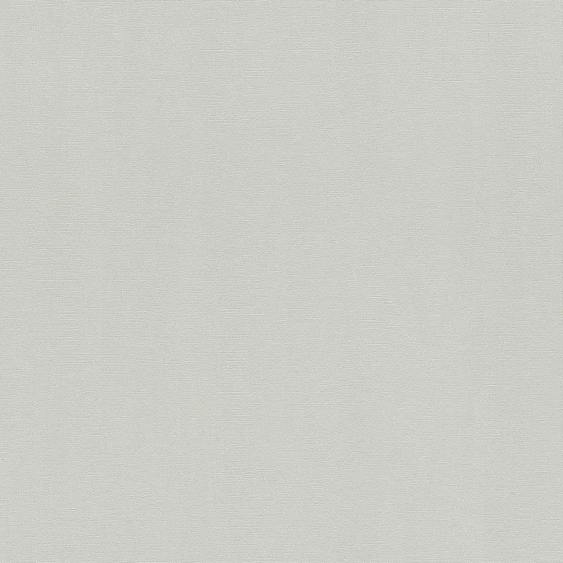Обои 411874 Rasch Hyde Park