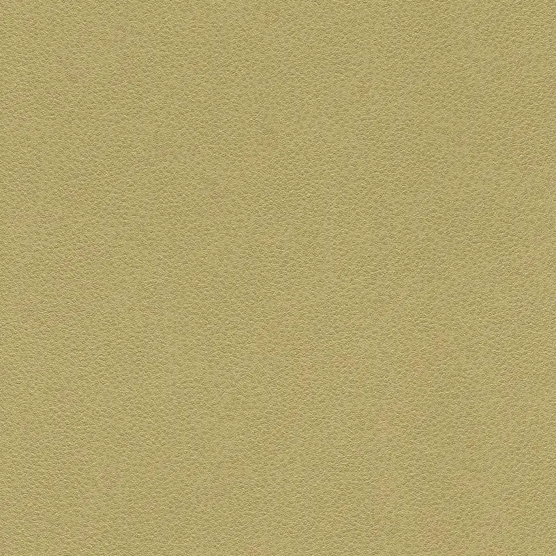 Обои 422061 Rasch Miracle