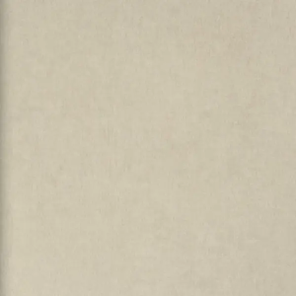 Обои 46003 BN International 50 Shades of colour